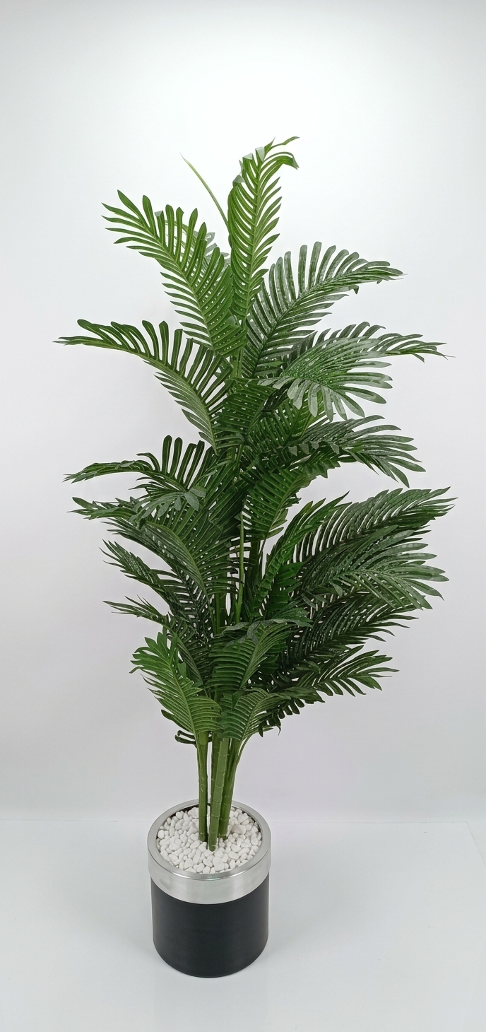 Areca 190 cm – 5 stabala
