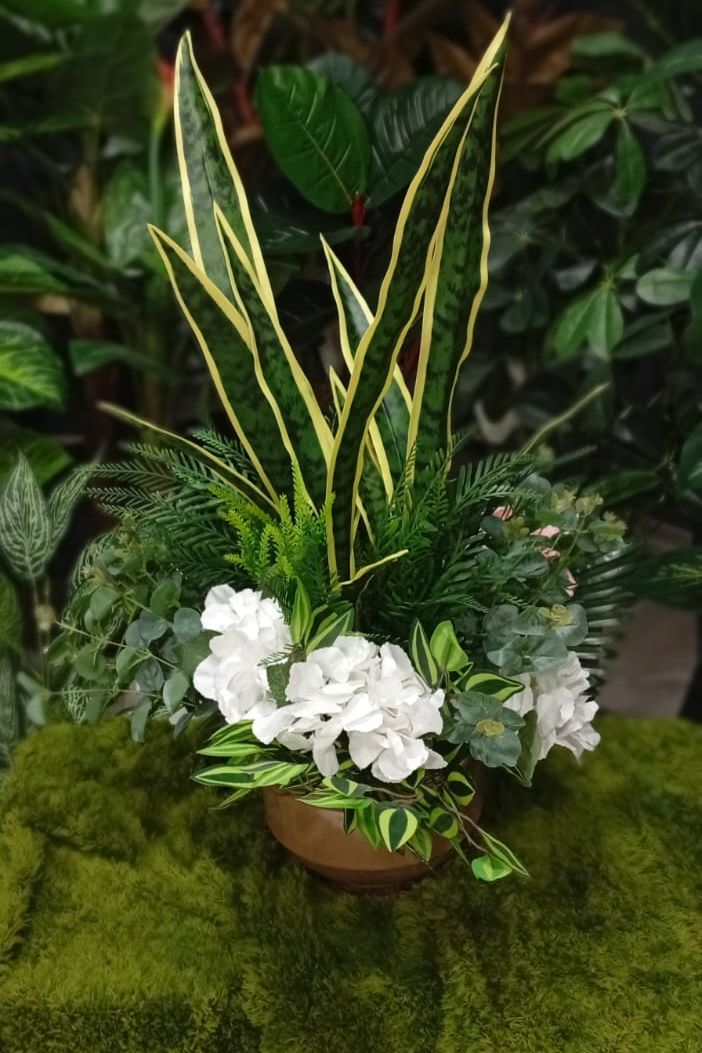 Sansevieria i hortenzija
