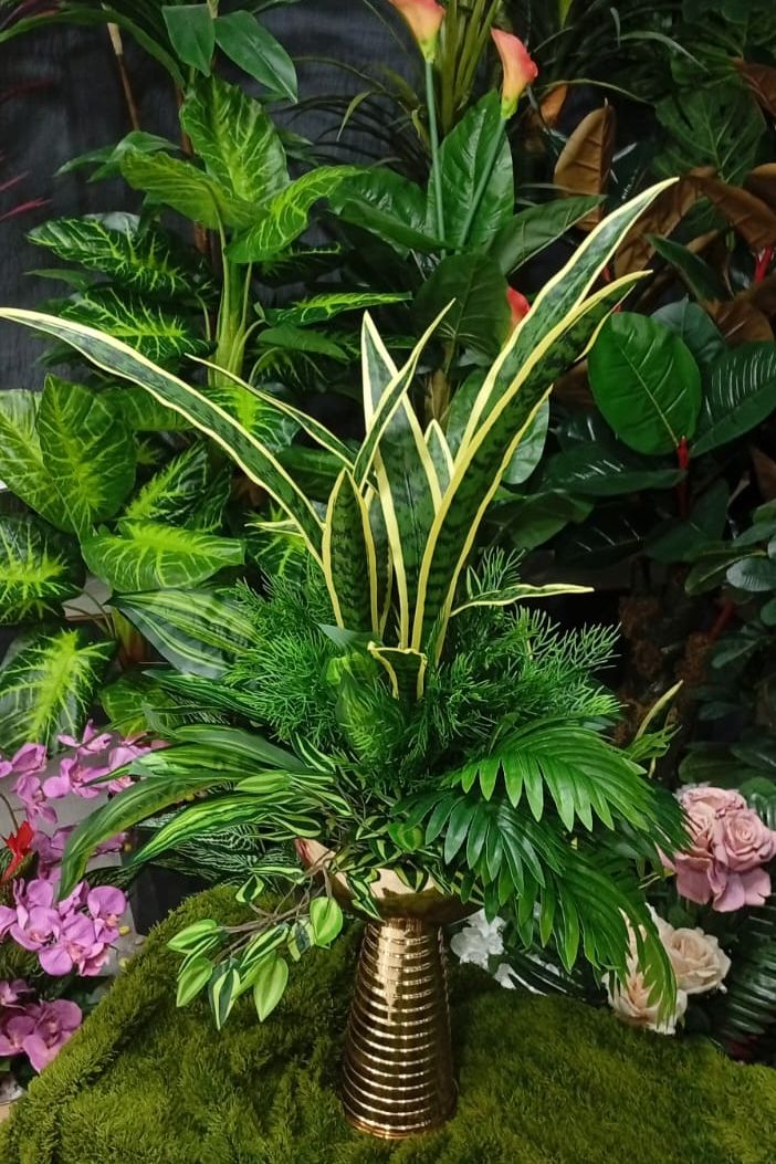 Sansevieria & Tropical Foliage