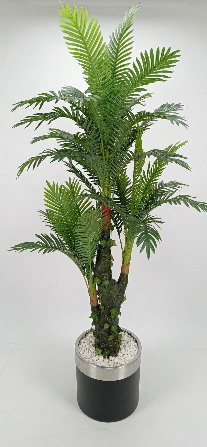 Areca – Prirodni stabljika