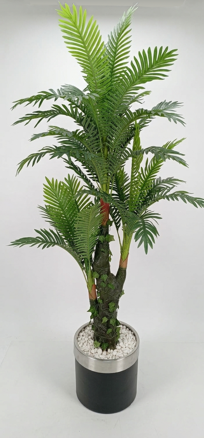 Areca – Prirodni stabljika