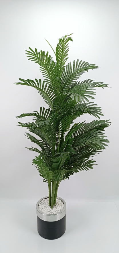 Areca 190 cm – 5 stabala