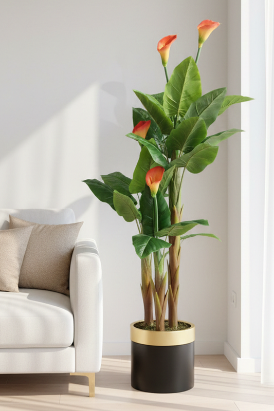 Crijest kalo 170 cm