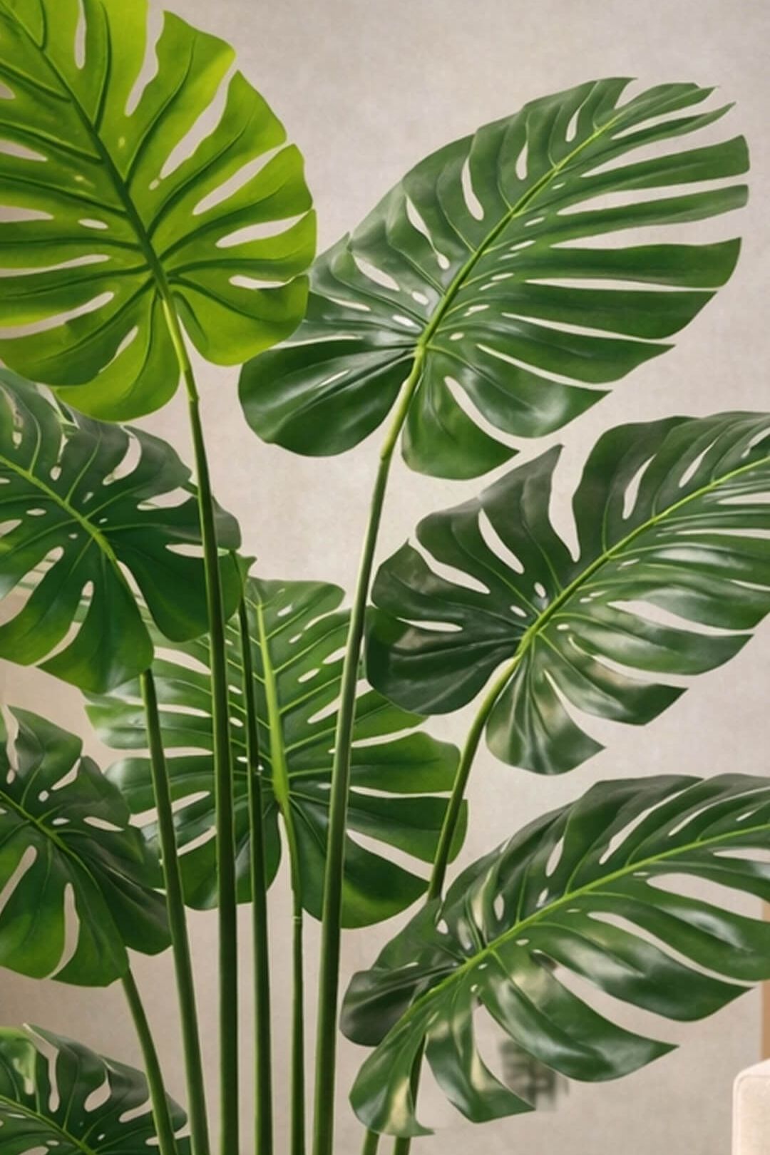 Monstera Deliciosa 170 cm – 7 listova