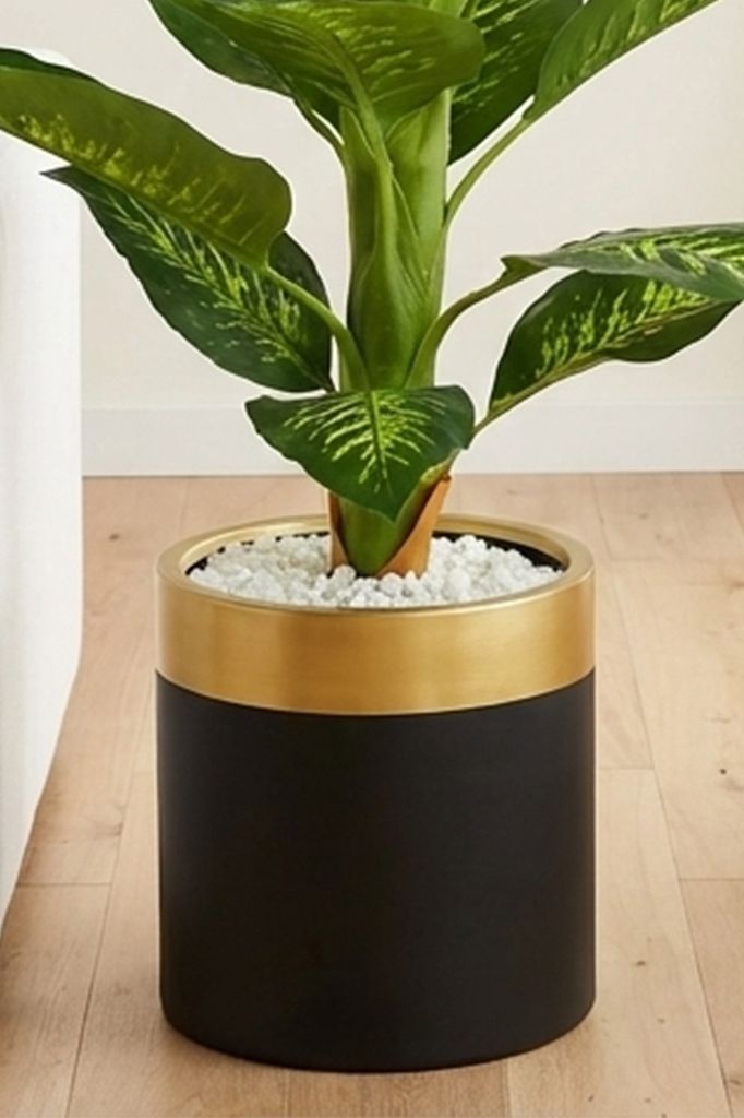 Tropska Dieffenbachia 180 cm