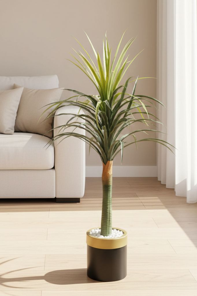Yucca stabla 120 cm