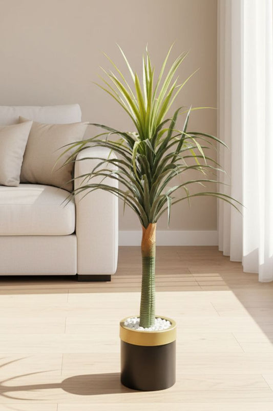 Yucca stabla 120 cm