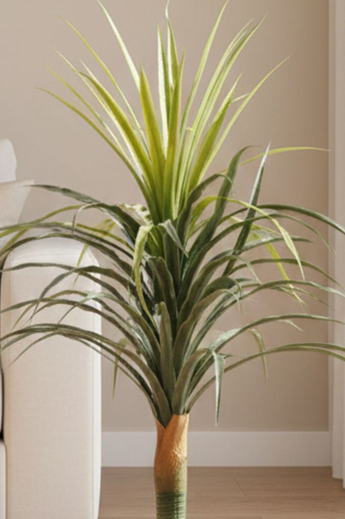Yucca stabla 120 cm