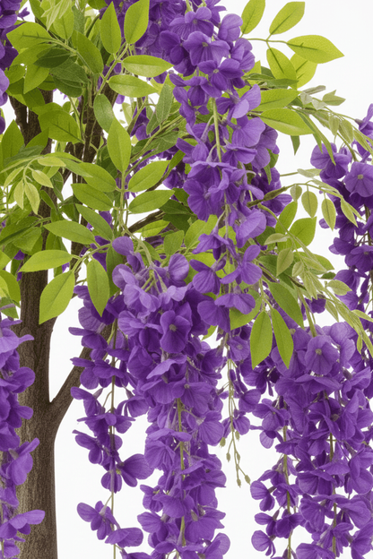 Ljubičasta glistena stabla 180 cm