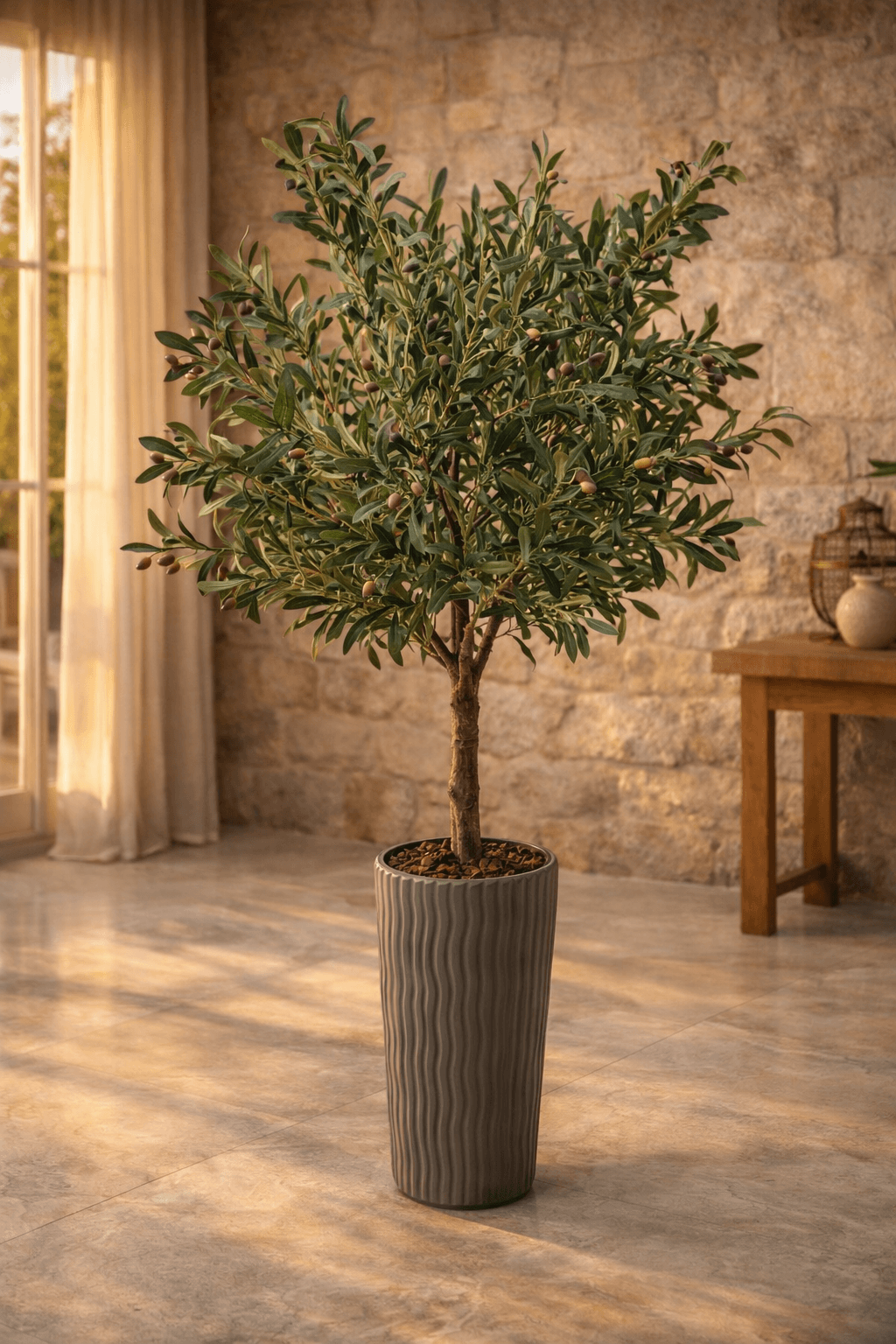 Maslinovo drvo 200 cm