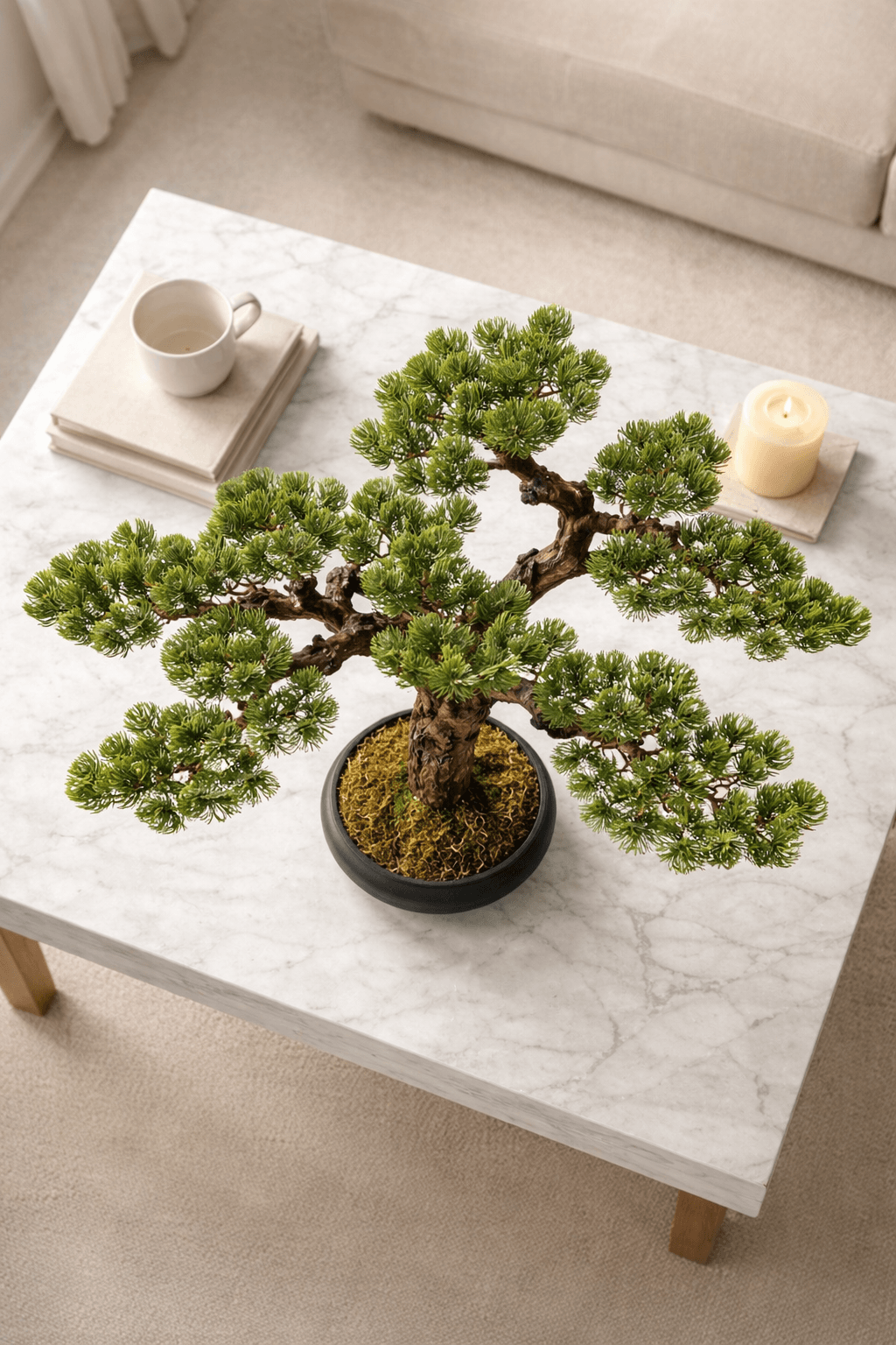 Pinijski bonsai stabao 75 cm