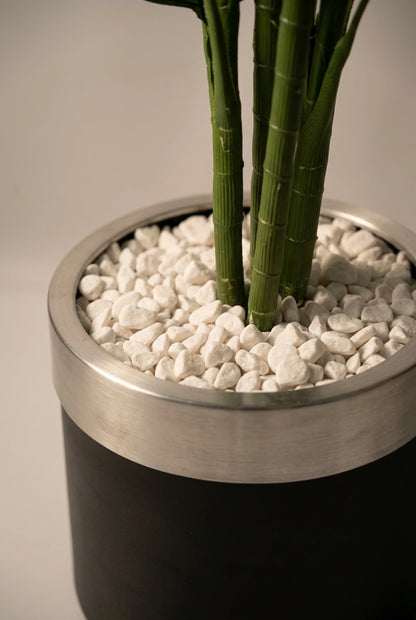 Areca 190 cm – 5 stabala
