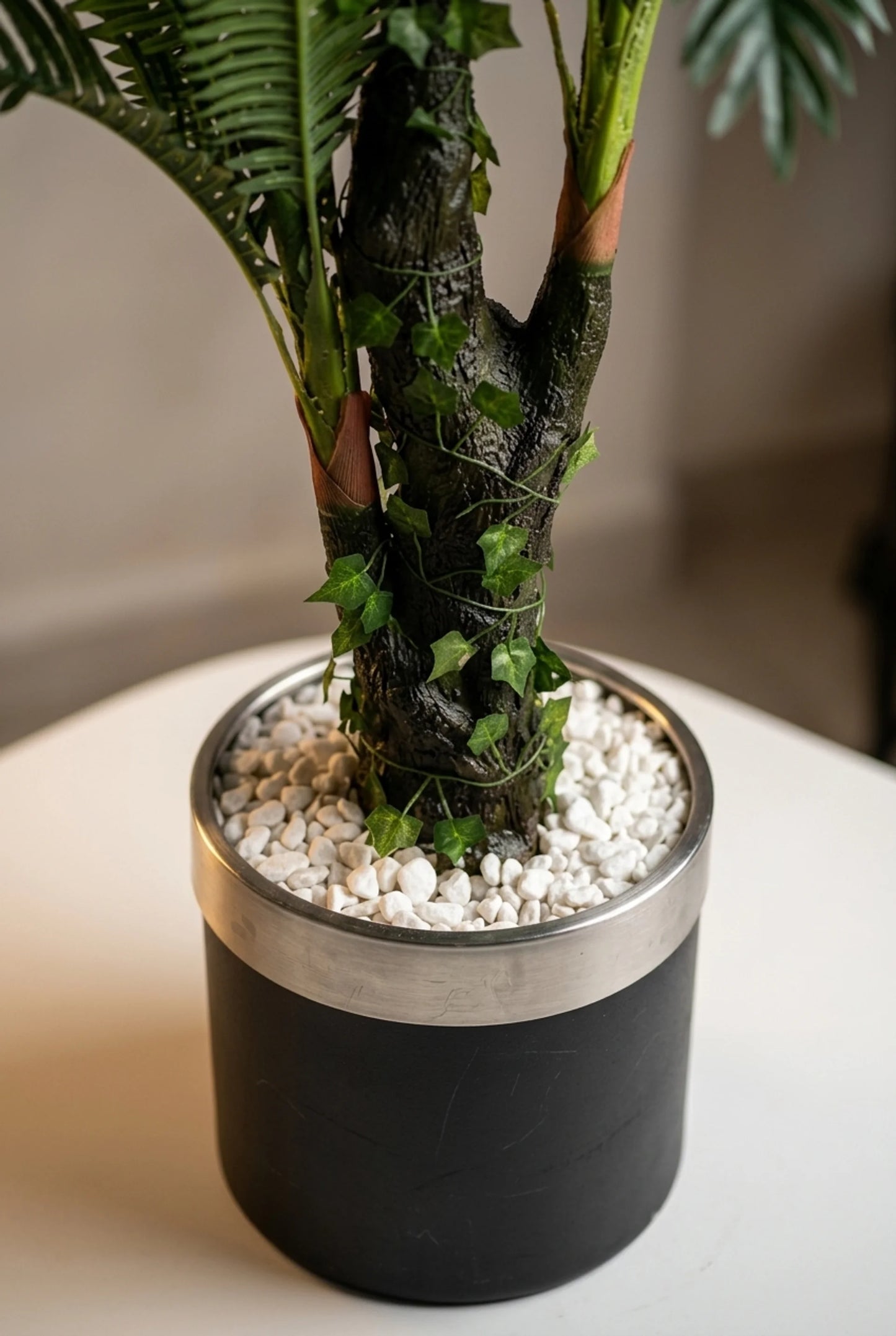 Areca – Prirodni stabljika