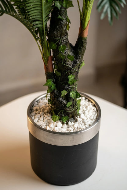 Areca – Prirodni stabljika