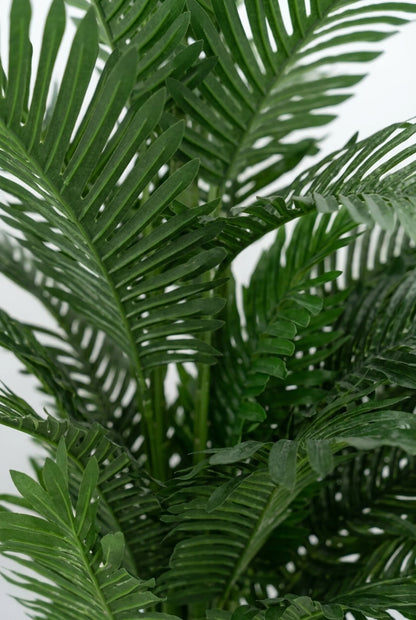 Areca 190 cm – 5 stabala