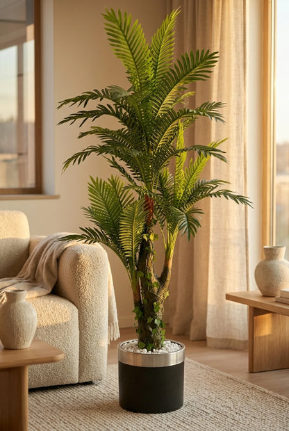 Areca – Prirodni stabljika