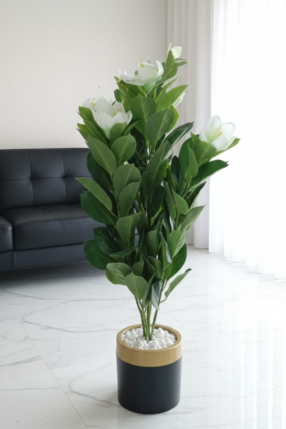 Drvenasta biljka mira 100 cm