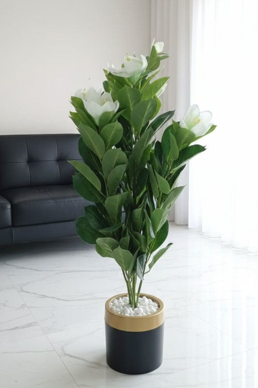 Drvenasta biljka mira 100 cm